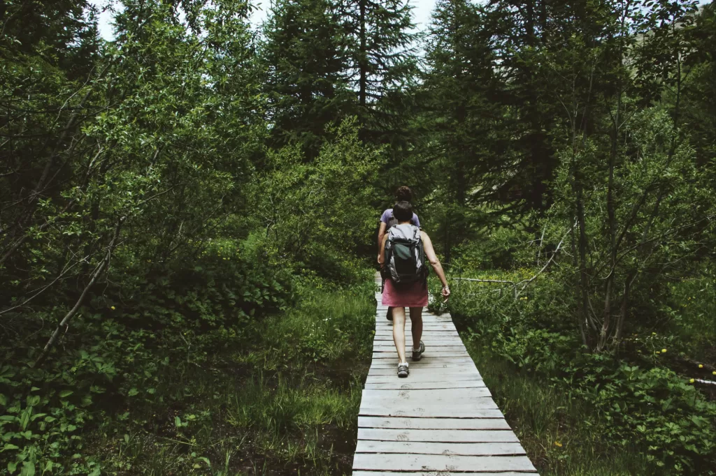 person walking in nature