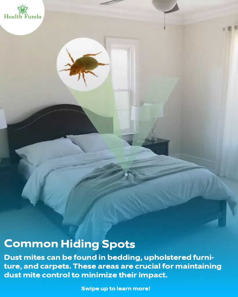 common hiding spost for dust mites